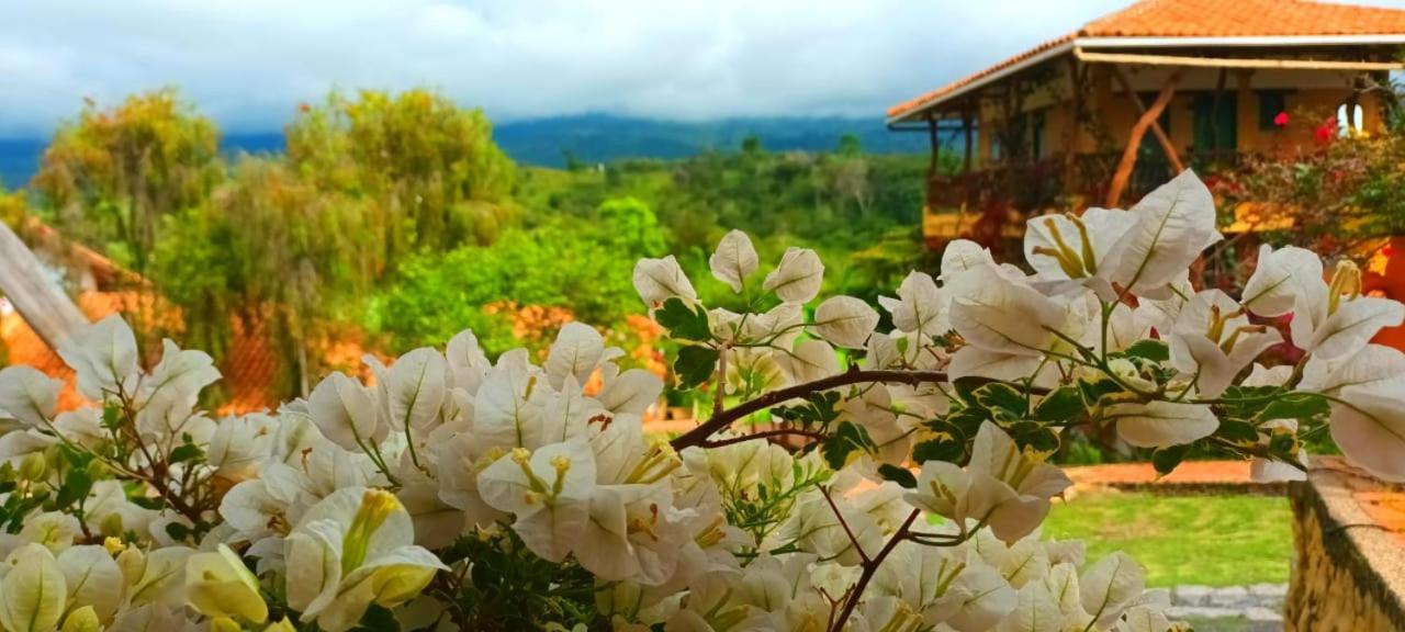 Macua Villa Chipata Dış mekan fotoğraf