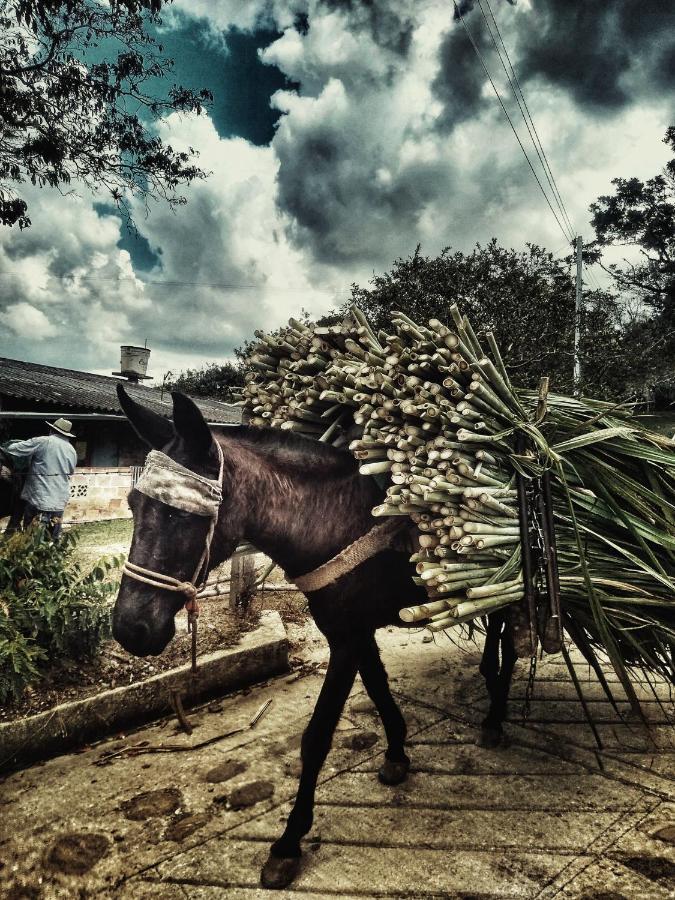 Macua Villa Chipata Dış mekan fotoğraf